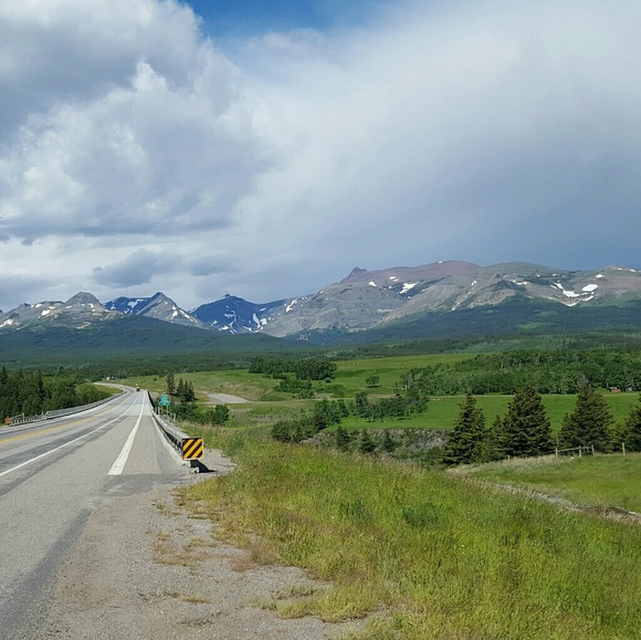 Meet your Posher, Sharon - Picture 4 of 4